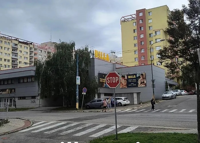 Pretty View Apartment, Private Parking, 8min To Center By Car *