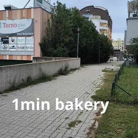 Pretty View Apartment, Private Parking, 8min To Center By Car * Bratislava